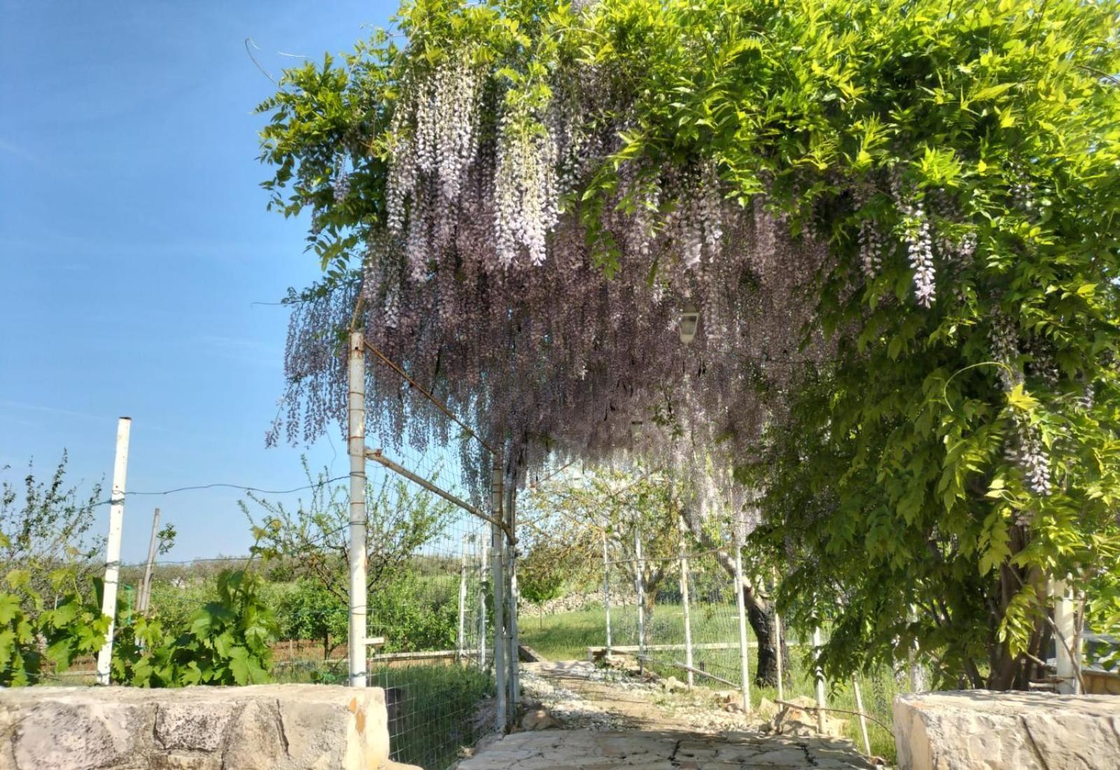 Il Giardino Delle Fate Hotel La Correggia Exterior photo